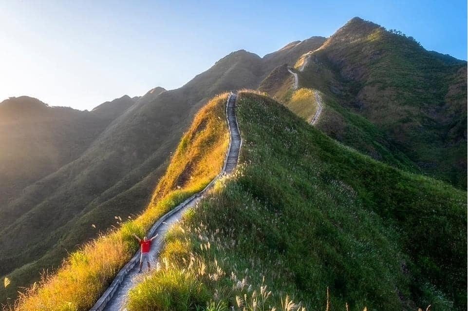 Mùa hoa lau nở Bình Liêu Quảng Ninh